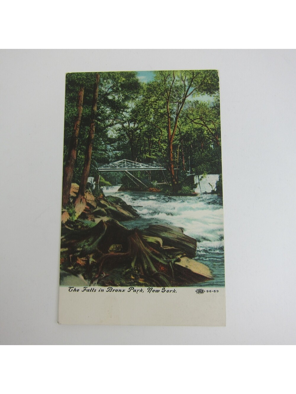 Postcard New York City The Falls in Bronx Park Antique UNPOSTED RARE